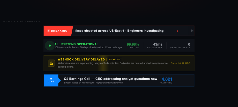 CSS Pulsing Banner for Live Updates — preview