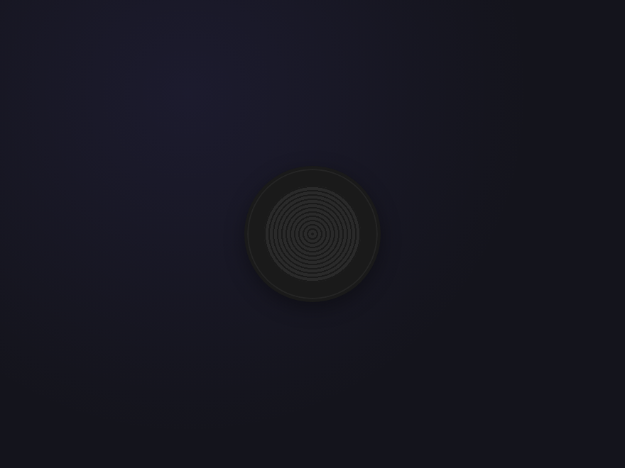 Vinyl Sleeve — preview