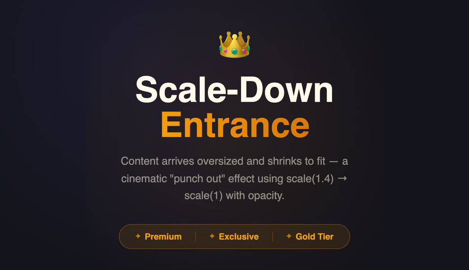 Scale-Down Zoom In Fade — preview