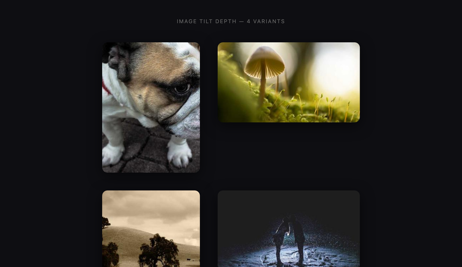 CSS Image Tilt Depth Hover Effect — preview
