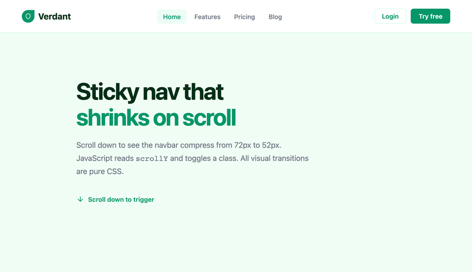 CSS Sticky Navigation Bar with Scroll Shrink — preview